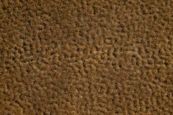 76705 Кустики осенние h 2-6 мм, 210х148мм - фото 16319